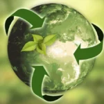 Reciclar basura: una web para un mundo más verde