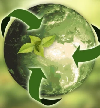 Reciclar basura: una web para un mundo más verde