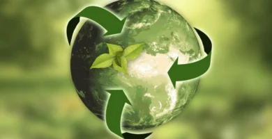 Reciclar basura: una web para un mundo más verde