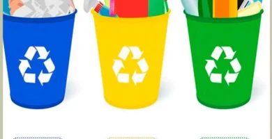 Consejos como reciclar