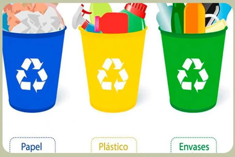 Consejos como reciclar